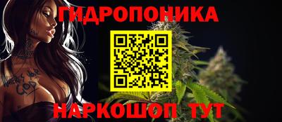 мдпв Рыбинск