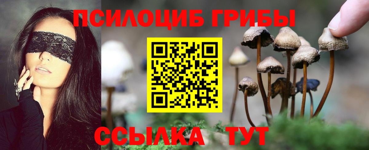 Асбест  Галлюциногенные грибы Psilocybine cubensis  Вход с VPN 